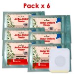 Parche Herbal Antidiabtico Pack x 6