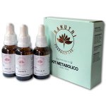 Kit Metablico Gotas Orales