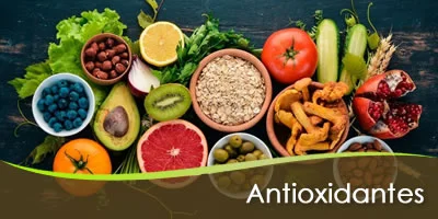 suplementos de antioxidantes